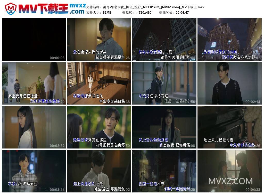 笛哥-思念的夜_国语_流行_MEE01252